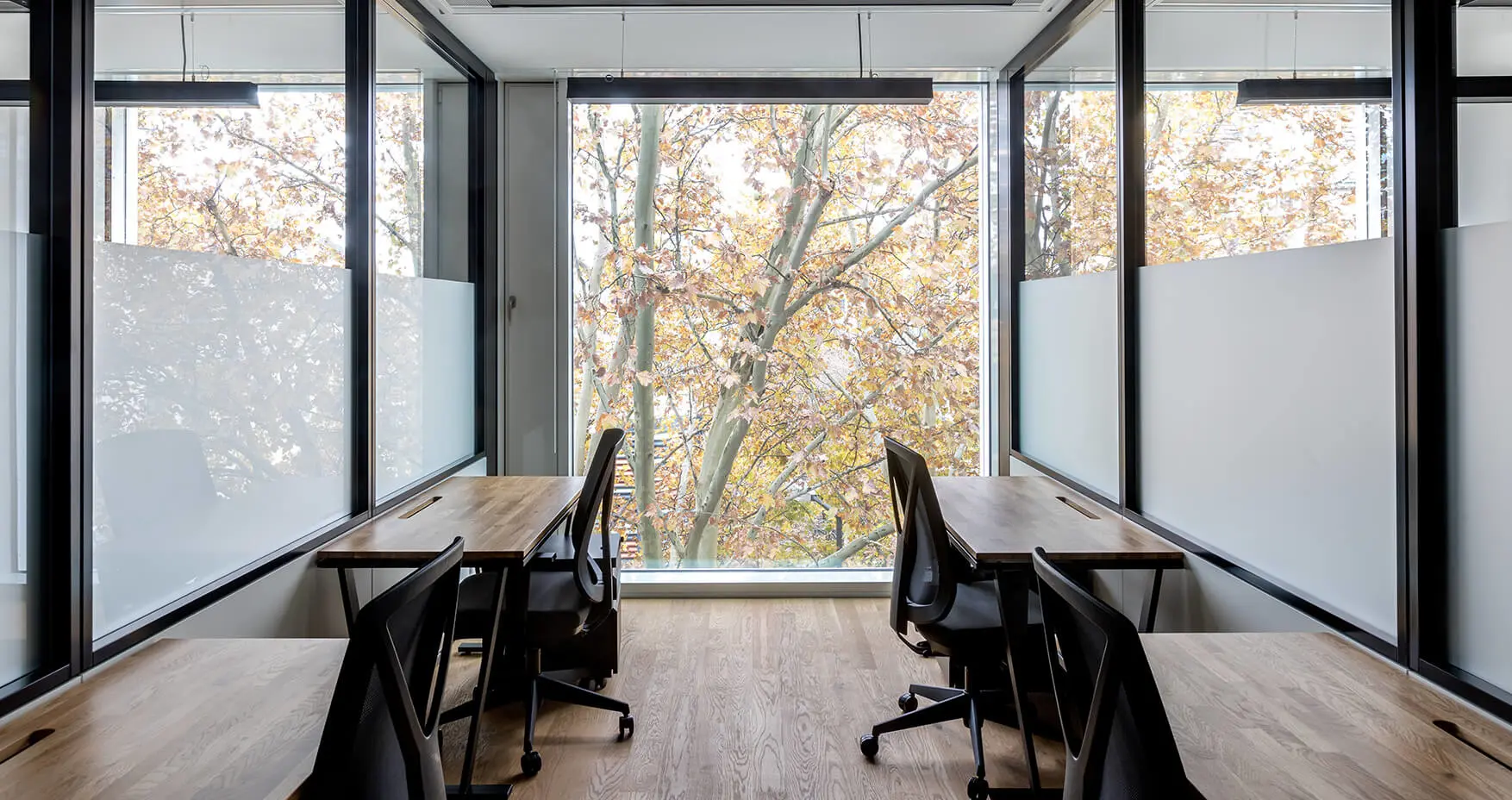 Mindspace München Stachus privates Büro