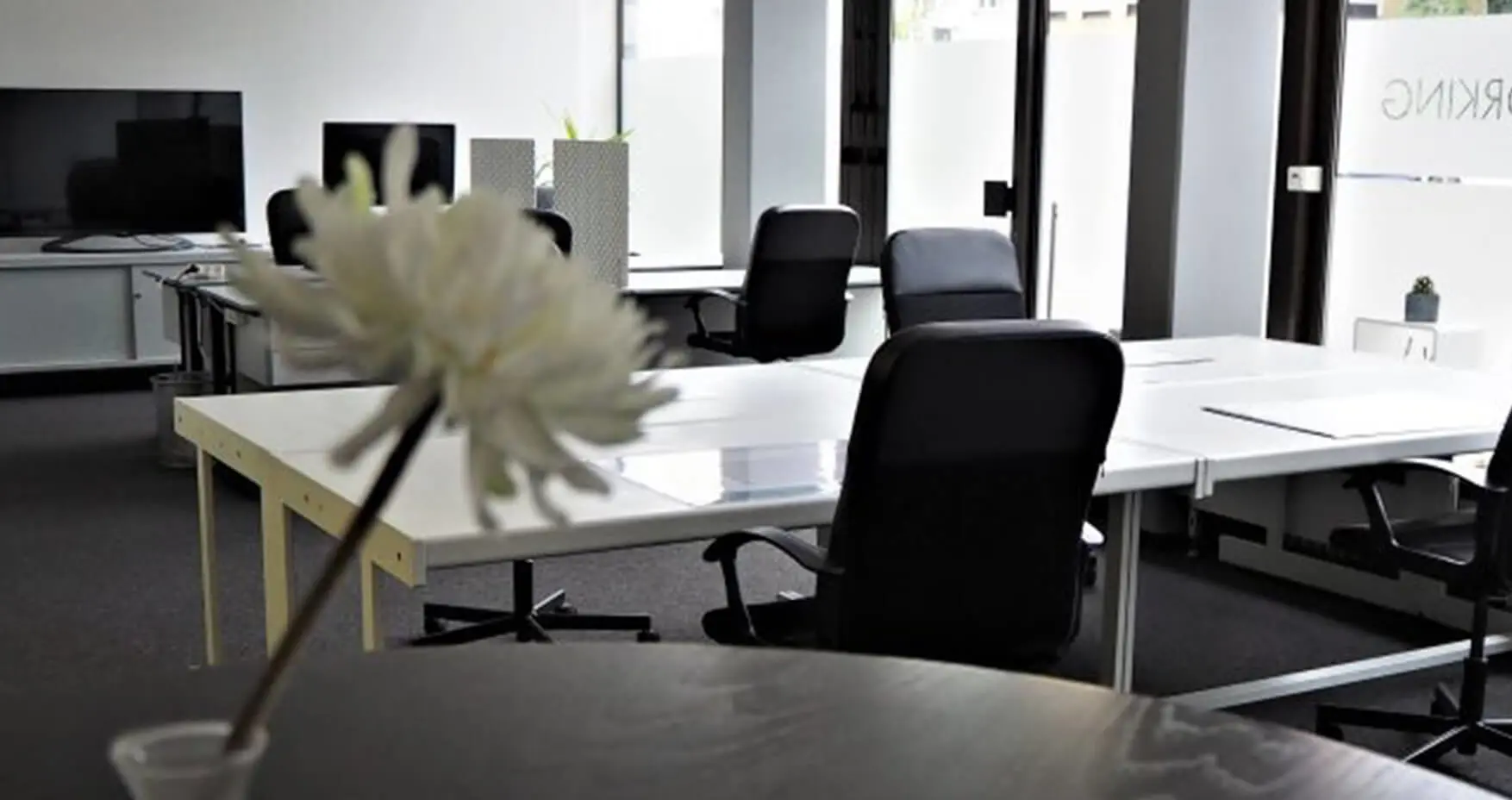 HIB Coworking Nürnberg Open Space