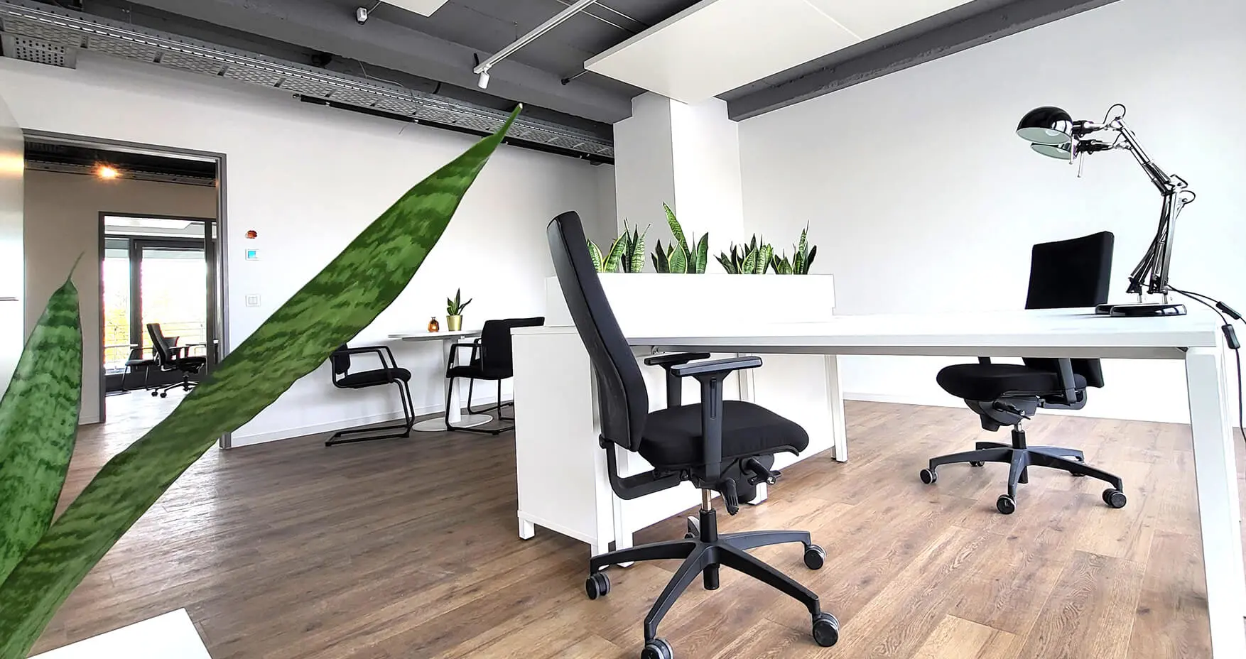 Räume Köln Nippes Flex Office