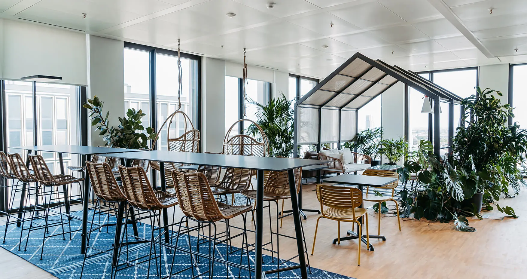 1000 Satellites Mannheim Glueckstein Community Area