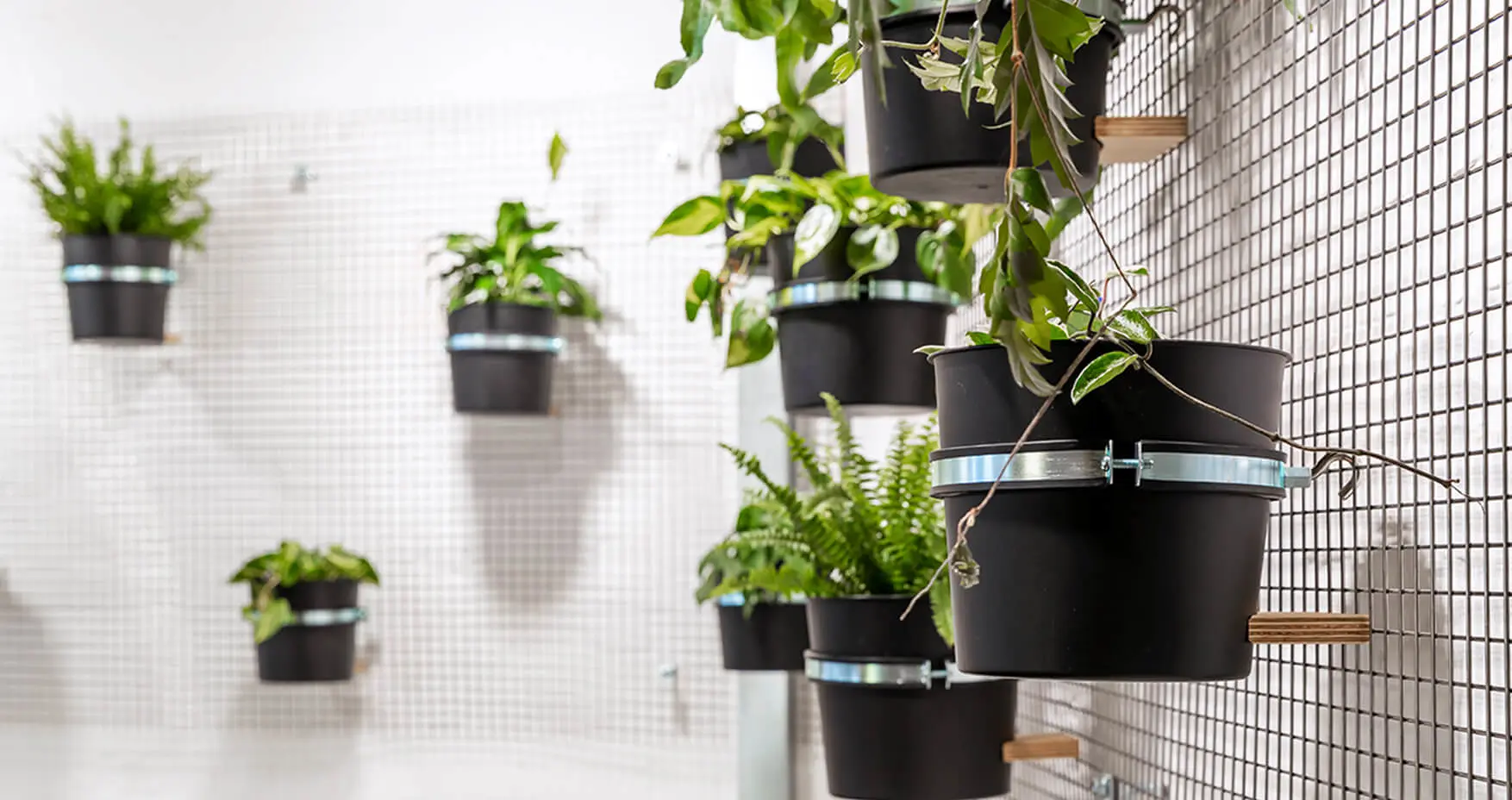 raumstation Coworking Berlin Pflanzen